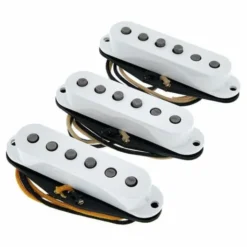 Fender Custom Texas Special Strat Set