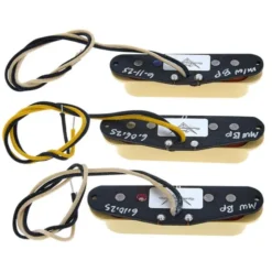 Fender Dual Mag II Strat Set