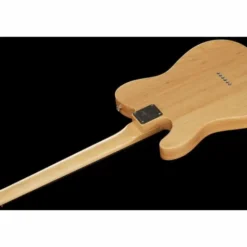 Fender Jimmy Page Telecaster RW NAT