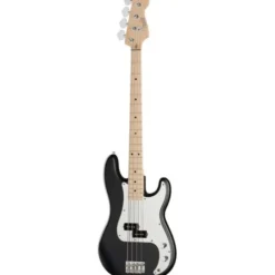 Fender LTD 50th Steve Harris P-Bass B