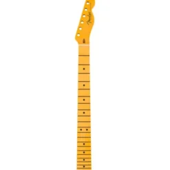 Fender Neck Am Pro Clsc Tele MN