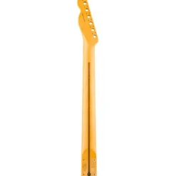 Fender Neck Am Pro Clsc Tele MN
