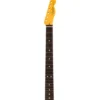 Fender Neck Am Pro Clsc Tele RW
