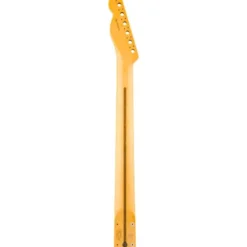 Fender Neck Am Pro Clsc Tele RW