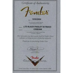 Fender 54 P-Bass Journeyman Relic BP
