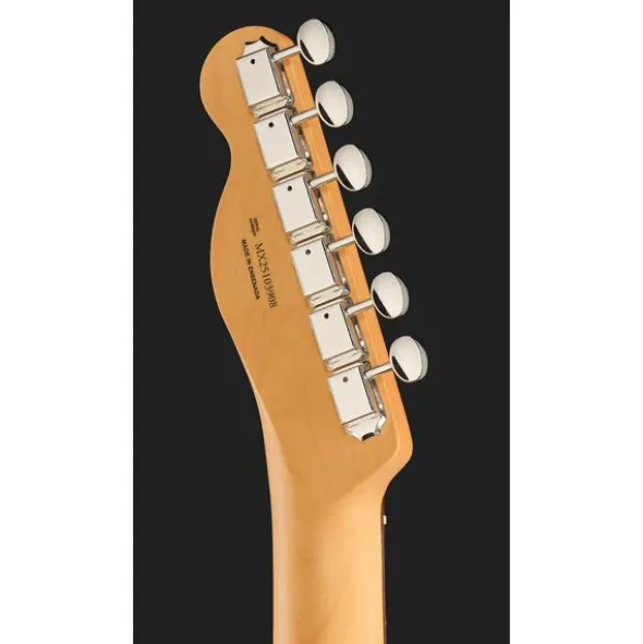 Fender Player II Tele RW AQB