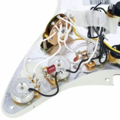 Fender Pre-Wired ST PG Vint.N. SSS TT