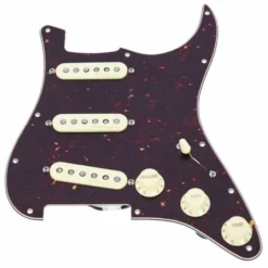 Fender Pre-Wired ST PG Vint.N. SSS TT