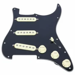 Fender Pre-Wired ST PG Vint.N. SSS BK