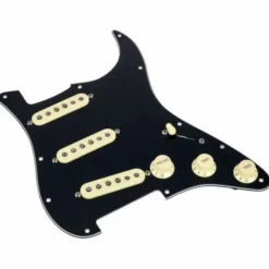 Fender Pre-Wired ST Pickguard 69 BK