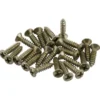 Fender Roadworn Pkgrd Plate Screws