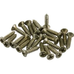 Fender Roadworn Pkgrd Plate Screws