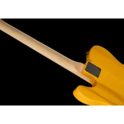 Fender Standard Tele MN BPG BTB