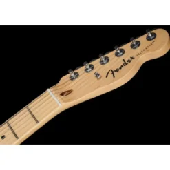 Fender Standard Tele MN BPG BTB