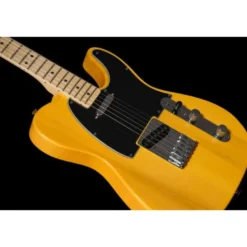 Fender Standard Tele MN BPG BTB