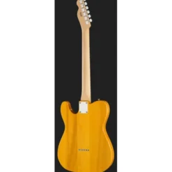 Fender Standard Tele MN BPG BTB