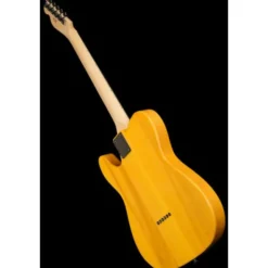 Fender Standard Tele MN BPG BTB