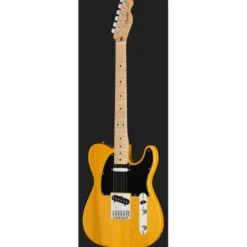Fender Standard Tele MN BPG BTB