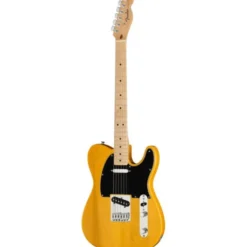 Fender Standard Tele MN BPG BTB