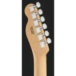 Fender Standard Tele MN BPG BTB