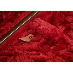 Fender Strat/Tele Poodle Case Brown