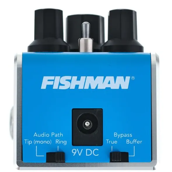 Fishman AFX EchoBack Mini Delay
