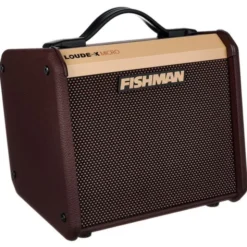 Fishman Loudbox Micro