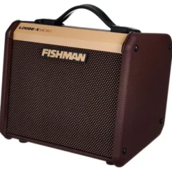 Fishman Loudbox Micro