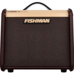 Fishman Loudbox Micro