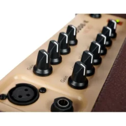 Fishman Loudbox Micro