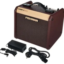 Fishman Loudbox Micro