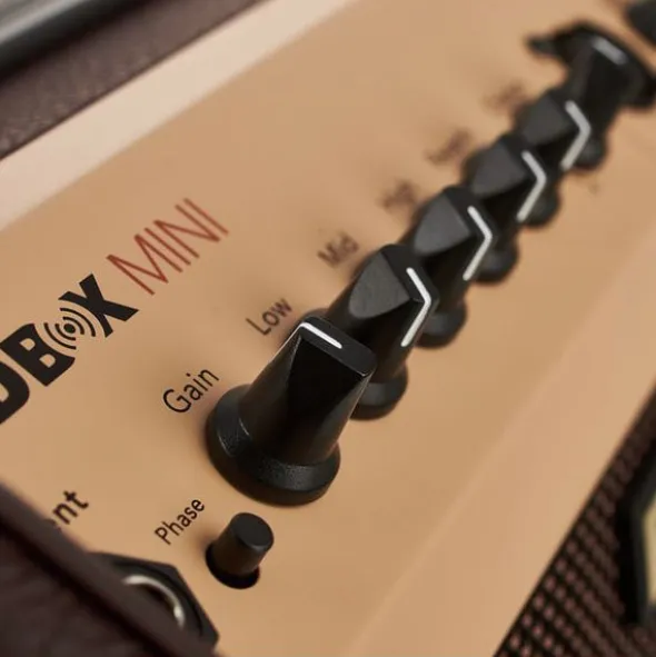 Fishman Loudbox Mini with Bluet Bundle