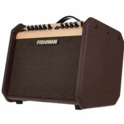 Fishman Loudbox Mini with Bluet Bundle