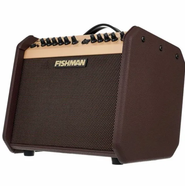 Fishman Loudbox Mini with Bluet Bundle