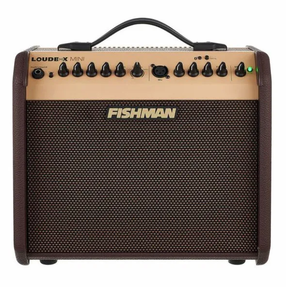 Fishman Loudbox Mini with Bluet Bundle