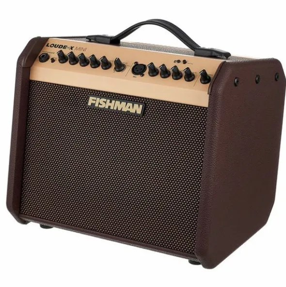 Fishman Loudbox Mini with Bluet Bundle