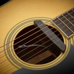 Fishman Rare Earth Mic Blend