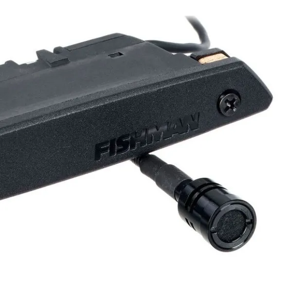 Fishman Rare Earth Mic Blend