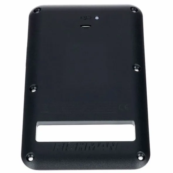 Fishman Rechargeable Battery Pack STBK