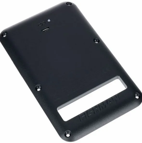 Fishman Rechargeable Battery Pack STBK