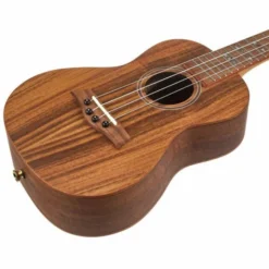 Flight Concert DUC440 Acacia
