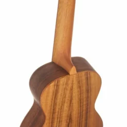 Flight Concert DUC440 Acacia