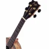 Flight Concert DUC 410 QA
