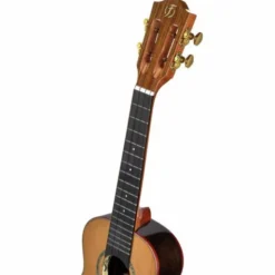 Flight Diana CE Concert Ukulele