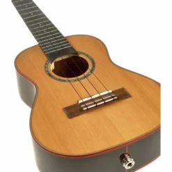 Flight Diana CE Concert Ukulele