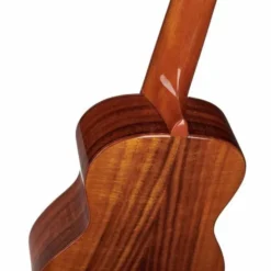 Flight DUC445 Glossy Acacia