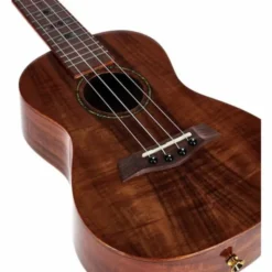 Flight DUC445 Glossy Acacia