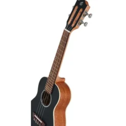 Flight Iris BK Concert Ukulele