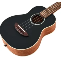 Flight Iris BK Concert Ukulele