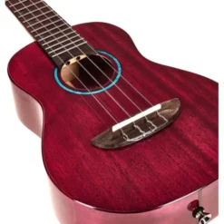 Flight Iris Tinta Concert TPP